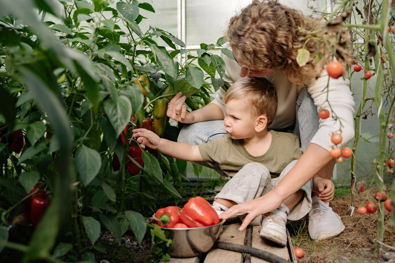 A mother and her young son picking peppers and tomatoes in a lush greenhouse garden.